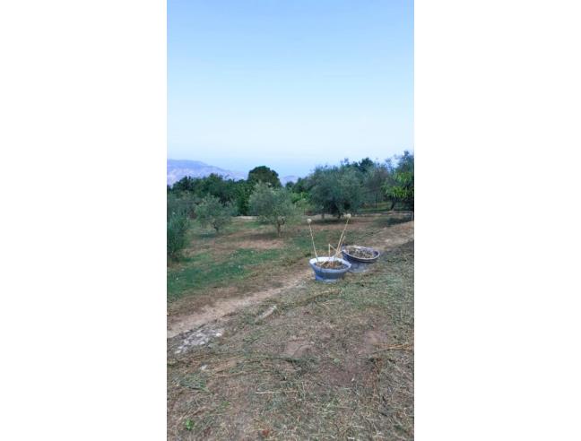 Anteprima foto 5 - Terreno Agricolo/Coltura in Vendita a Ficarra (Messina)