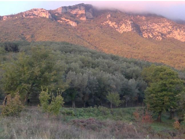 Anteprima foto 1 - Terreno Agricolo/Coltura in Vendita a Fisciano - Settefichi