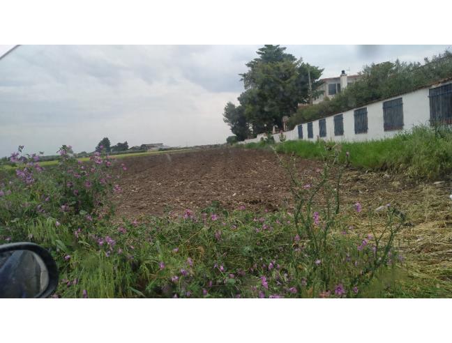 Anteprima foto 1 - Terreno Agricolo/Coltura in Vendita a Foggia (Foggia)