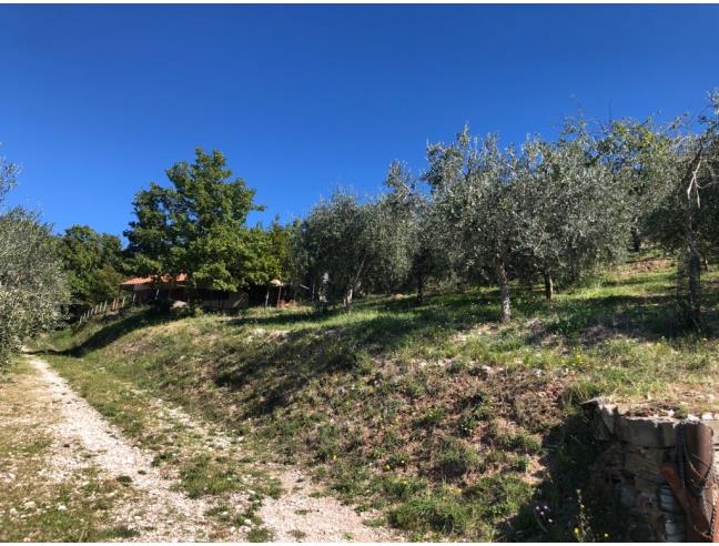 Anteprima foto 2 - Terreno Agricolo/Coltura in Vendita a Foligno - Ravignano