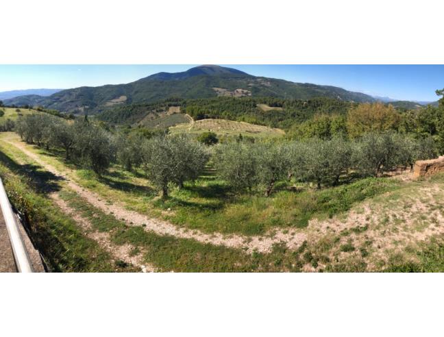 Anteprima foto 3 - Terreno Agricolo/Coltura in Vendita a Foligno - Ravignano