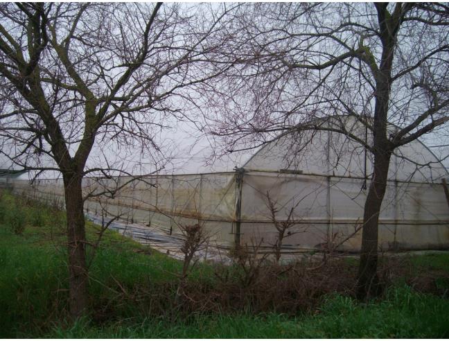 Anteprima foto 1 - Terreno Agricolo/Coltura in Vendita a Fondi - Sugarelle