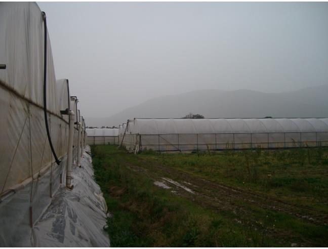 Anteprima foto 4 - Terreno Agricolo/Coltura in Vendita a Fondi - Sugarelle