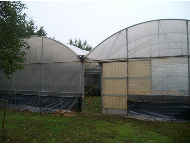 Anteprima foto 5 - Terreno Agricolo/Coltura in Vendita a Fondi - Sugarelle