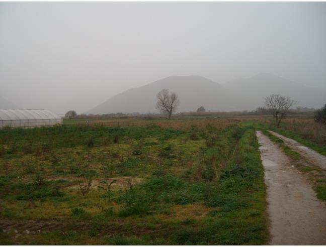 Anteprima foto 6 - Terreno Agricolo/Coltura in Vendita a Fondi - Sugarelle
