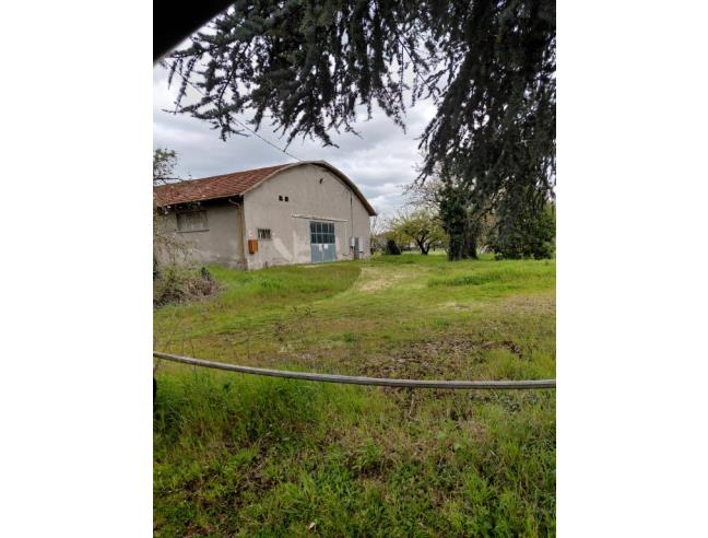 Anteprima foto 4 - Terreno Agricolo/Coltura in Vendita a Forlì (Forlì-Cesena)