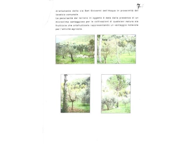 Anteprima foto 4 - Terreno Agricolo/Coltura in Vendita a Formia (Latina)