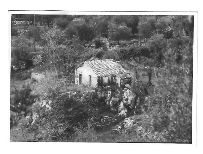 Anteprima foto 5 - Terreno Agricolo/Coltura in Vendita a Formia (Latina)