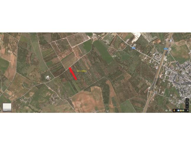 Anteprima foto 4 - Terreno Agricolo/Coltura in Vendita a Galatina - Collemeto