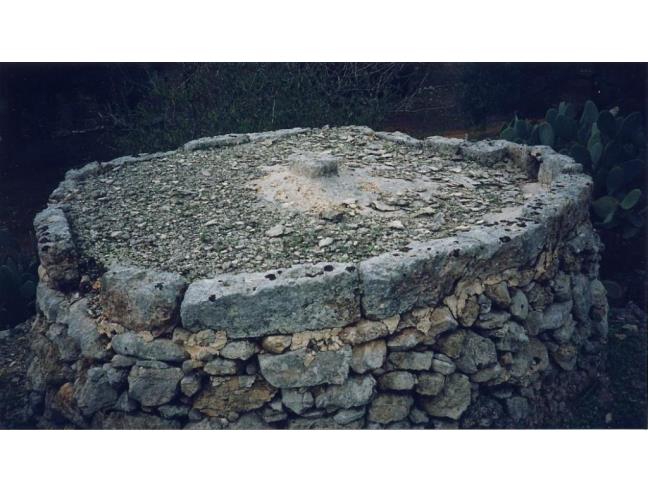 Anteprima foto 7 - Terreno Agricolo/Coltura in Vendita a Galatina - Collemeto