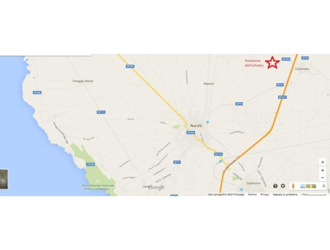 Anteprima foto 8 - Terreno Agricolo/Coltura in Vendita a Galatina - Collemeto