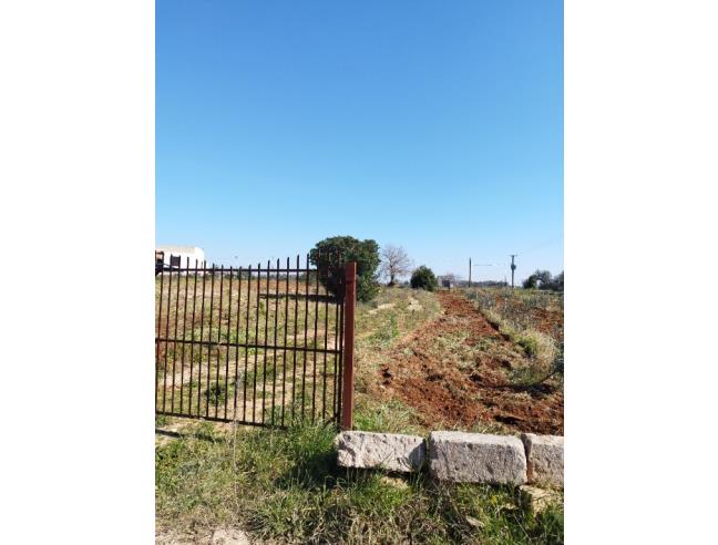 Anteprima foto 3 - Terreno Agricolo/Coltura in Vendita a Galatone - Galatone Campagne