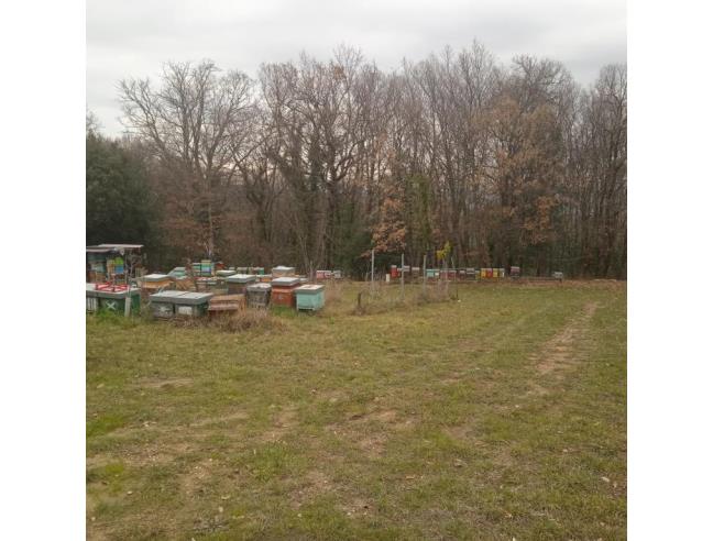 Anteprima foto 2 - Terreno Agricolo/Coltura in Vendita a Gambassi Terme - Badia A Cerreto