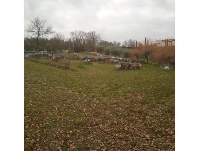 Anteprima foto 7 - Terreno Agricolo/Coltura in Vendita a Gambassi Terme - Badia A Cerreto