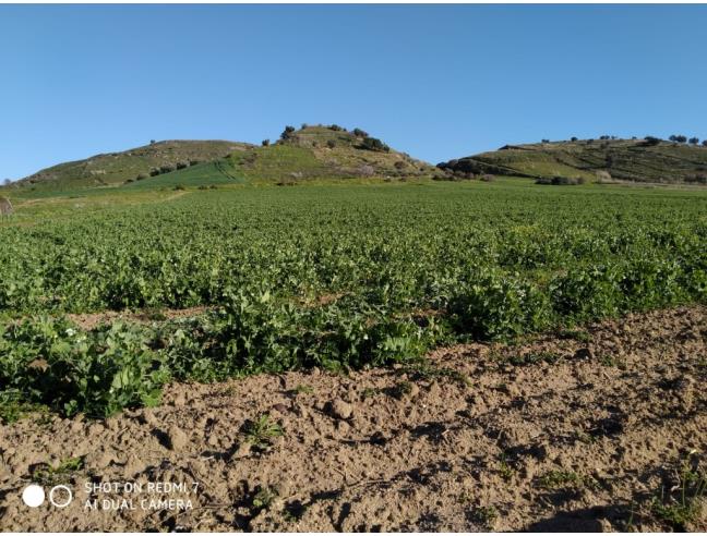 Anteprima foto 1 - Terreno Agricolo/Coltura in Vendita a Gela (Caltanissetta)