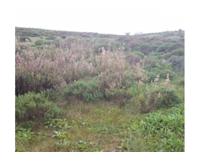 Anteprima foto 1 - Terreno Agricolo/Coltura in Vendita a Gela (Caltanissetta)