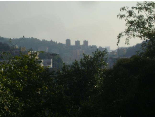 Anteprima foto 1 - Terreno Agricolo/Coltura in Vendita a Genova - Bolzaneto