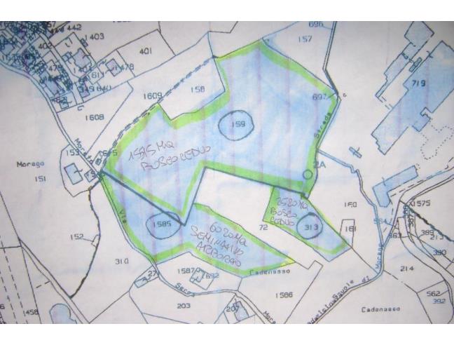 Anteprima foto 3 - Terreno Agricolo/Coltura in Vendita a Genova - Bolzaneto