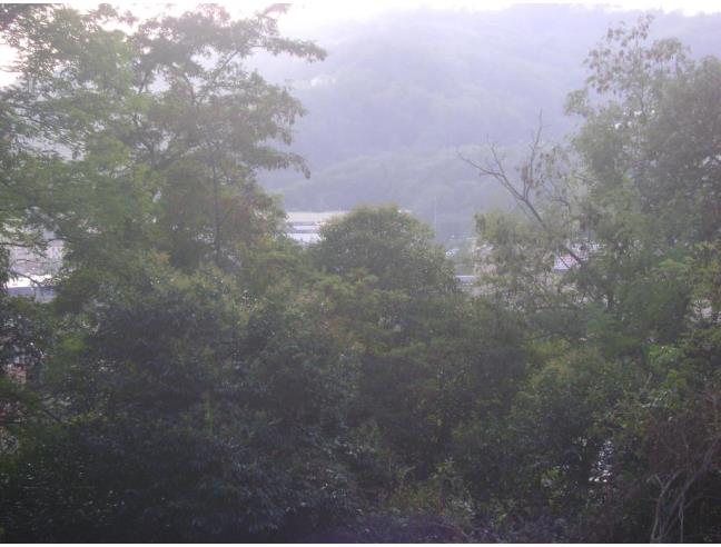 Anteprima foto 7 - Terreno Agricolo/Coltura in Vendita a Genova - Bolzaneto