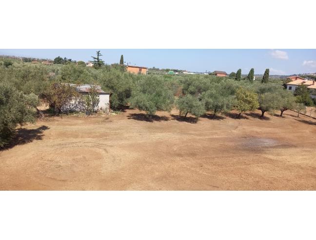 Anteprima foto 1 - Terreno Agricolo/Coltura in Vendita a Genzano di Roma (Roma)