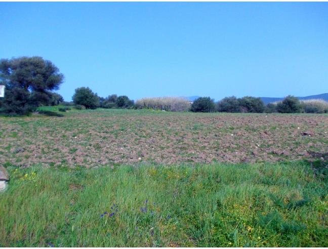 Anteprima foto 1 - Terreno Agricolo/Coltura in Vendita a Giba (Sud Sardegna)