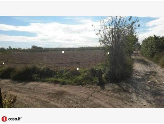 Anteprima foto 1 - Terreno Agricolo/Coltura in Vendita a Giugliano in Campania (Napoli)