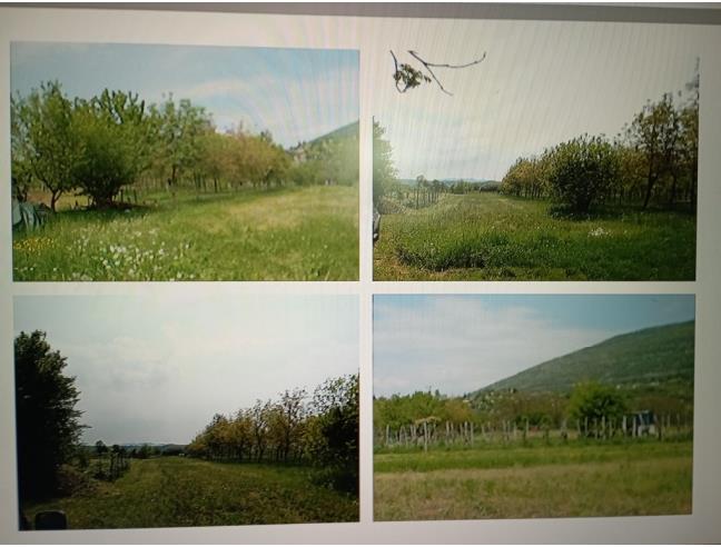 Anteprima foto 2 - Terreno Agricolo/Coltura in Vendita a Gorizia (Gorizia)