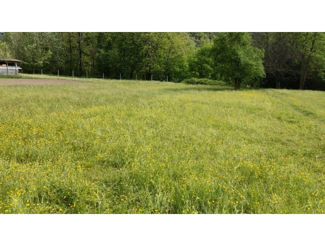 Anteprima foto 1 - Terreno Agricolo/Coltura in Vendita a Gravellona Toce (Verbano-Cusio-Ossola)