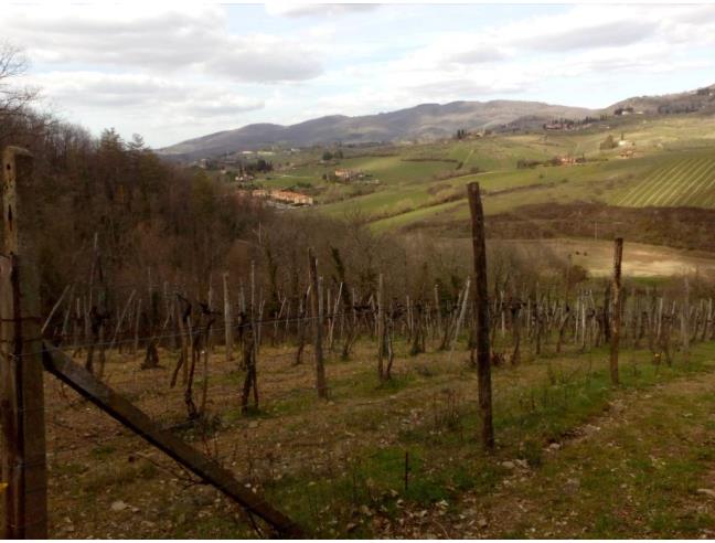 Anteprima foto 1 - Terreno Agricolo/Coltura in Vendita a Greve in Chianti - Panzano In Chianti