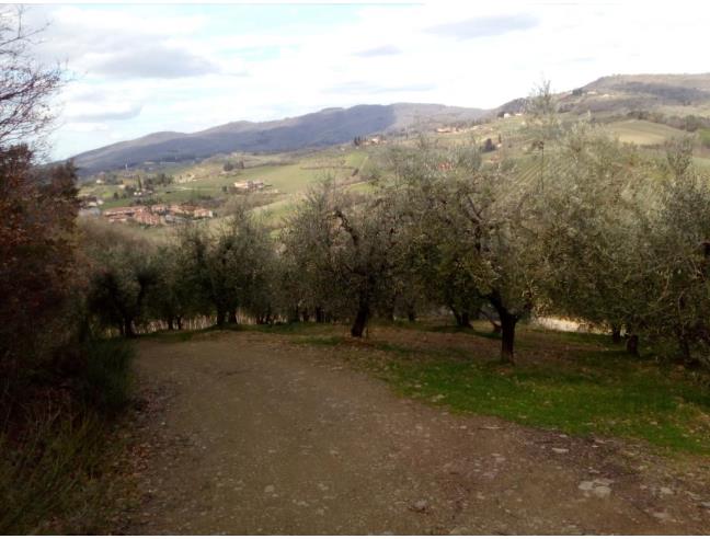 Anteprima foto 2 - Terreno Agricolo/Coltura in Vendita a Greve in Chianti - Panzano In Chianti