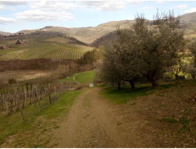 Anteprima foto 5 - Terreno Agricolo/Coltura in Vendita a Greve in Chianti - Panzano In Chianti