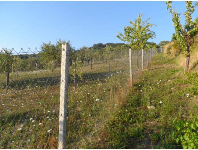 Anteprima foto 2 - Terreno Agricolo/Coltura in Vendita a Guardia Sanframondi (Benevento)