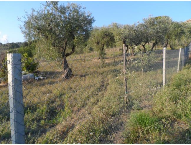 Anteprima foto 3 - Terreno Agricolo/Coltura in Vendita a Guardia Sanframondi (Benevento)