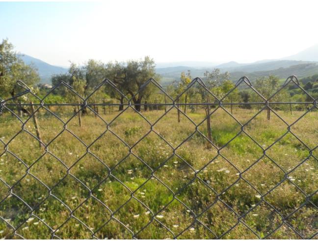 Anteprima foto 6 - Terreno Agricolo/Coltura in Vendita a Guardia Sanframondi (Benevento)