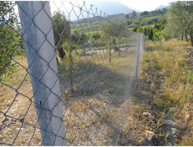 Anteprima foto 7 - Terreno Agricolo/Coltura in Vendita a Guardia Sanframondi (Benevento)