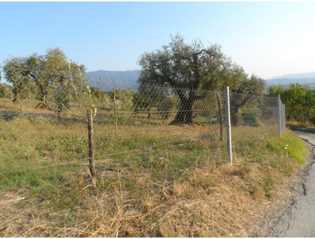 Anteprima foto 8 - Terreno Agricolo/Coltura in Vendita a Guardia Sanframondi (Benevento)