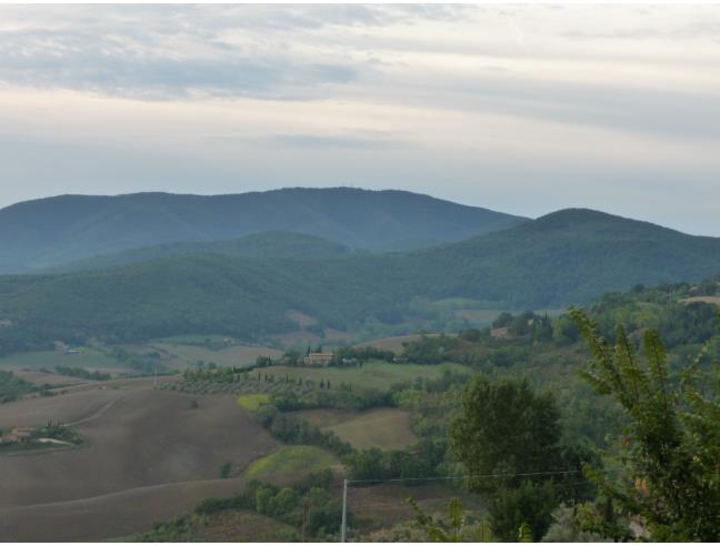 Anteprima foto 2 - Terreno Agricolo/Coltura in Vendita a Guardistallo (Pisa)