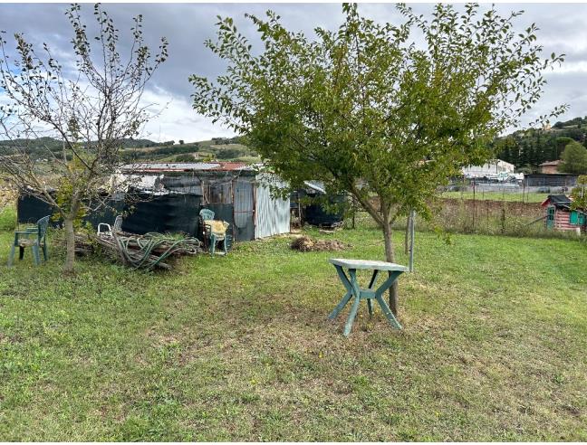 Anteprima foto 4 - Terreno Agricolo/Coltura in Vendita a Gubbio - Torre Calzolari