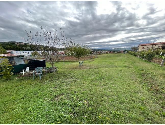Anteprima foto 6 - Terreno Agricolo/Coltura in Vendita a Gubbio - Torre Calzolari
