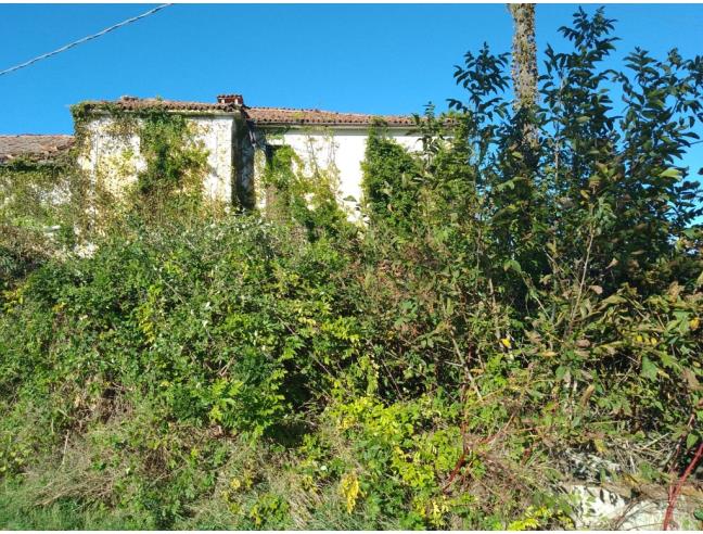 Anteprima foto 5 - Terreno Agricolo/Coltura in Vendita a Gussola (Cremona)