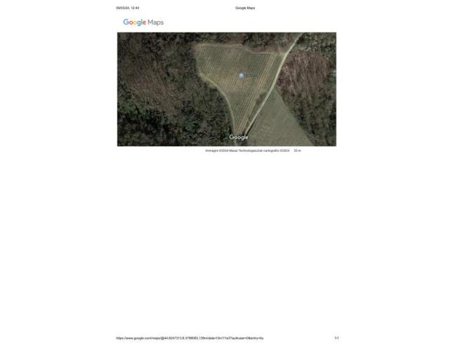 Anteprima foto 4 - Terreno Agricolo/Coltura in Vendita a Incisa Scapaccino (Asti)