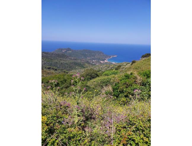 Anteprima foto 1 - Terreno Agricolo/Coltura in Vendita a Isola del Giglio - Giglio Castello