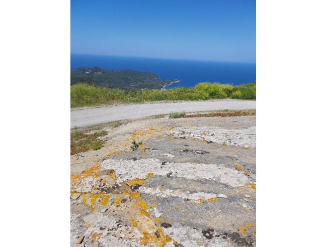 Anteprima foto 2 - Terreno Agricolo/Coltura in Vendita a Isola del Giglio - Giglio Castello