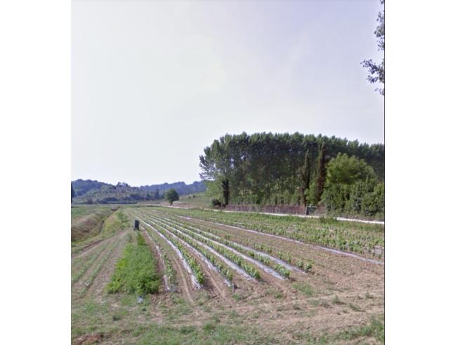 Anteprima foto 1 - Terreno Agricolo/Coltura in Vendita a Lari - Boschi Di Lari