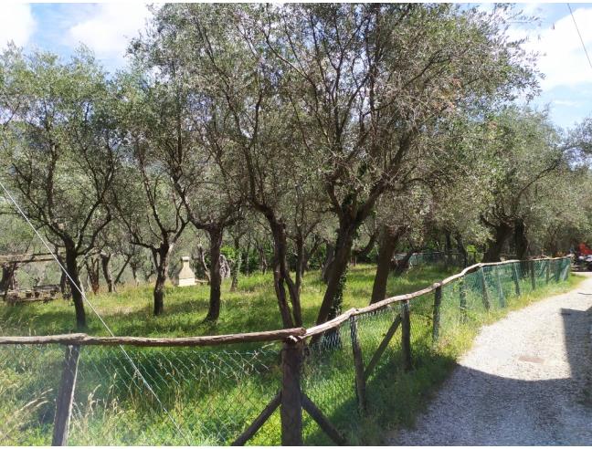 Anteprima foto 1 - Terreno Agricolo/Coltura in Vendita a Lavagna (Genova)