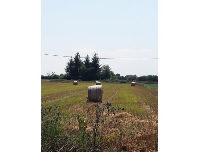 Anteprima foto 1 - Terreno Agricolo/Coltura in Vendita a Legnano (Milano)