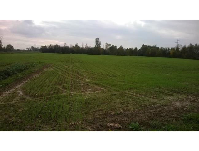 Anteprima foto 2 - Terreno Agricolo/Coltura in Vendita a Legnaro - Volparo