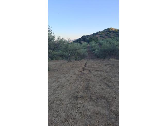 Anteprima foto 1 - Terreno Agricolo/Coltura in Vendita a Leonforte (Enna)
