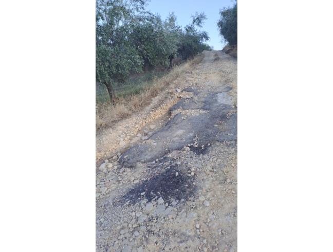 Anteprima foto 2 - Terreno Agricolo/Coltura in Vendita a Leonforte (Enna)