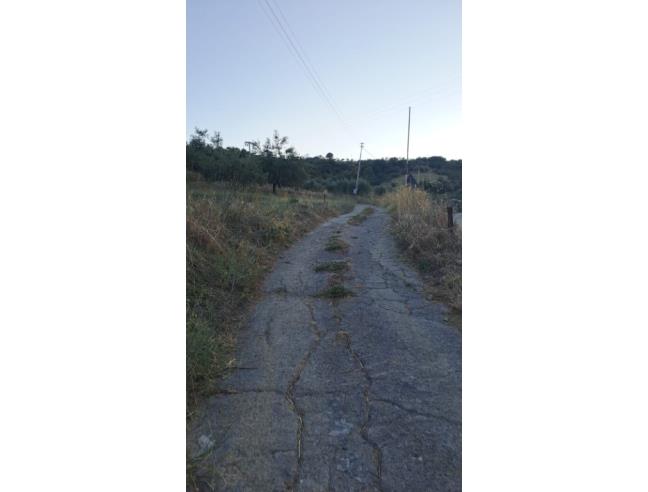 Anteprima foto 3 - Terreno Agricolo/Coltura in Vendita a Leonforte (Enna)